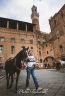 Palio Straordinario: la fotogallery delle Prove di Addestramento Mattutine
